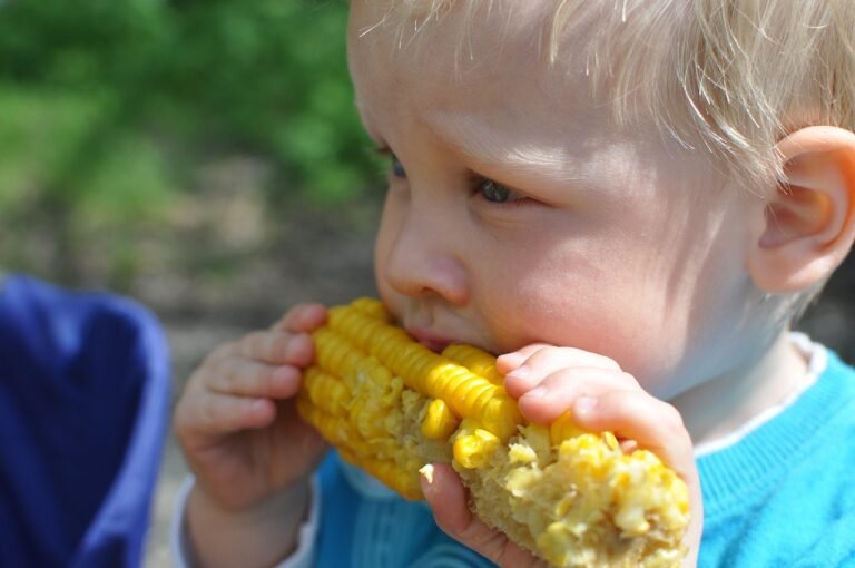 child, annual, corn-559415.jpg