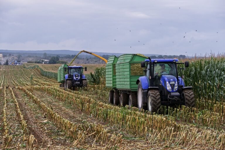 harvest, combine harvester, corn field-6729438.jpg